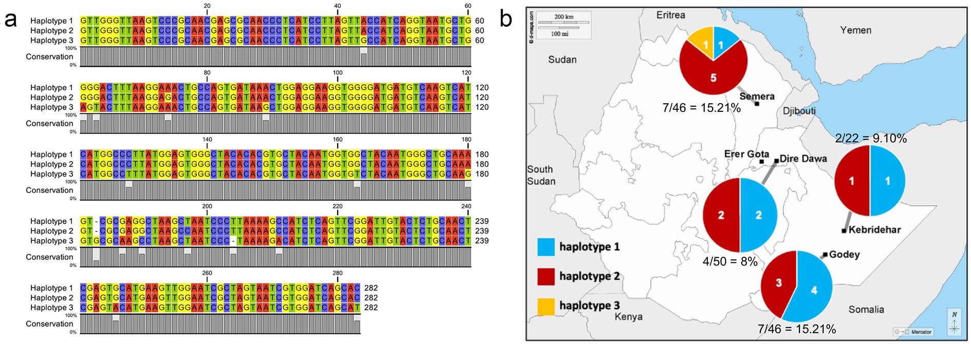 Wolbachia 16S rRNA haplotypes detected in wild Anopheles stephensi in eastern Ethiopia