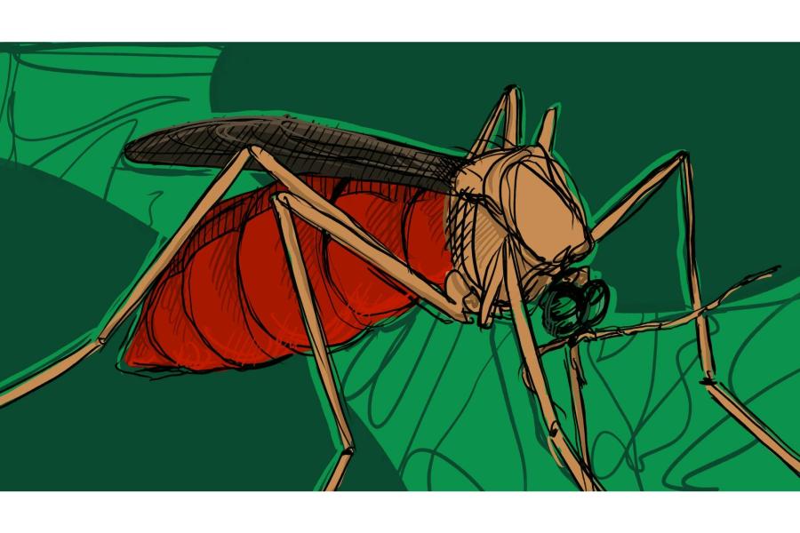 An international team including UW researchers discovers a dedicated receptor for centuries-old mosquito repellent