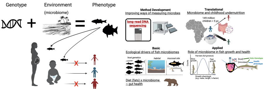minich_lab_summary